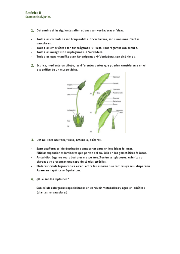 Miniatura del documento Examen-final.pdf
