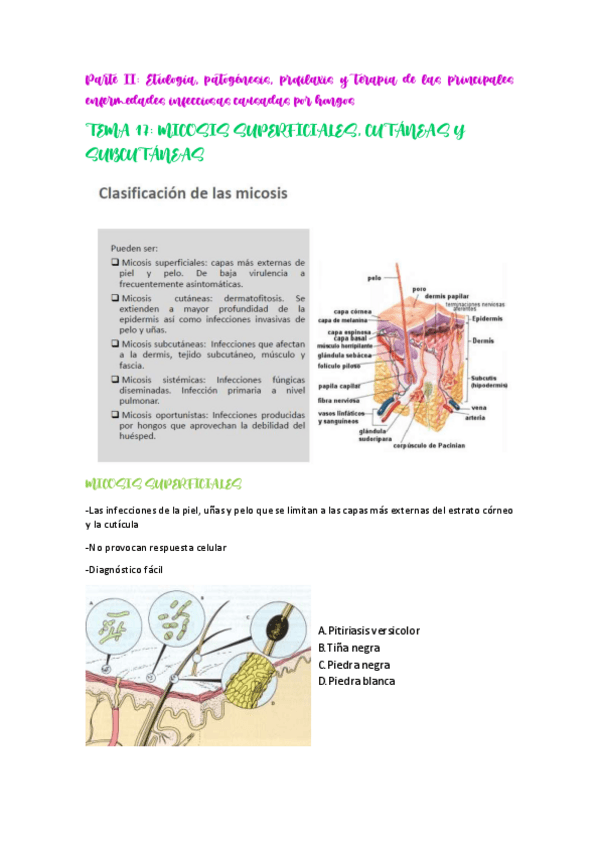 Miniatura del documento MBII-2o-PARCIAL.pdf