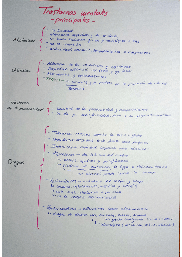 Miniatura del documento trastornos-mentales-principales.pdf