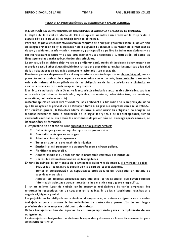 Miniatura del documento TEMA-9-LA-PROTECCION-DE-LA-SEGURIDAD-Y-SALUD-LABORAL.pdf