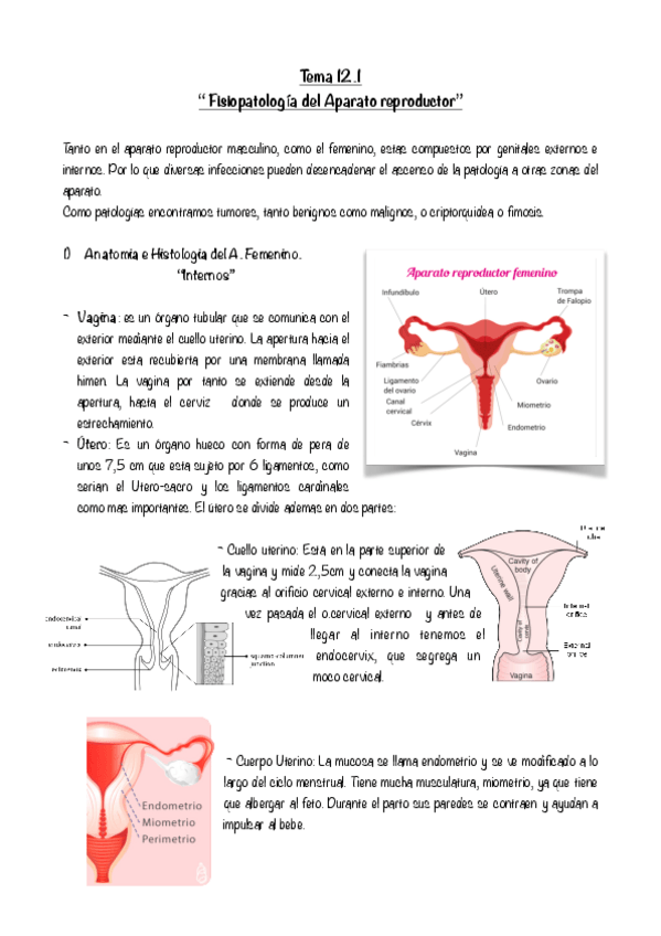 Miniatura del documento Tema-12.pdf