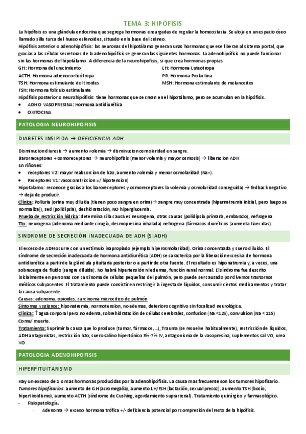 Miniatura del documento tema-3.pdf