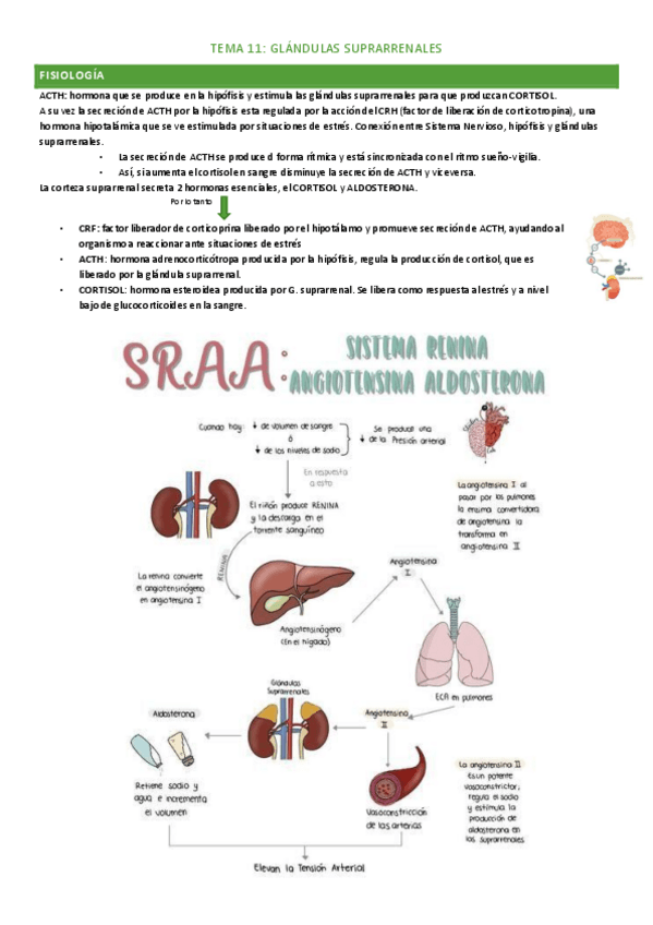 Miniatura del documento tema-11.pdf