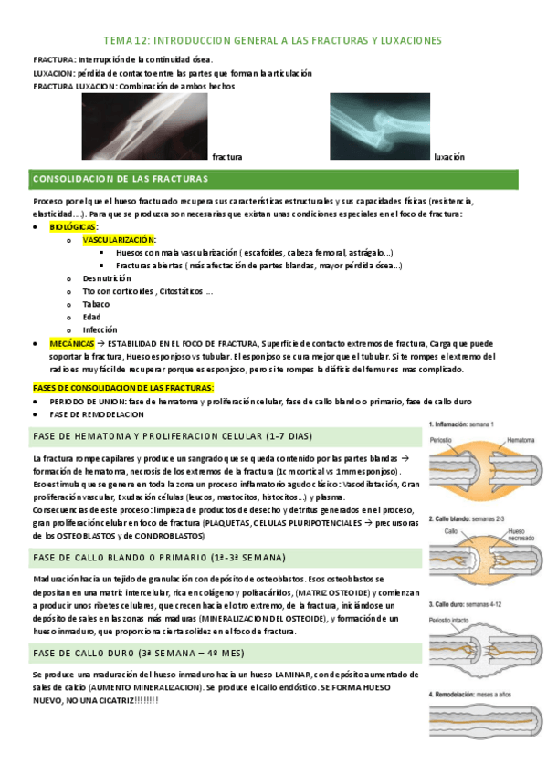 Miniatura del documento tema-12.pdf