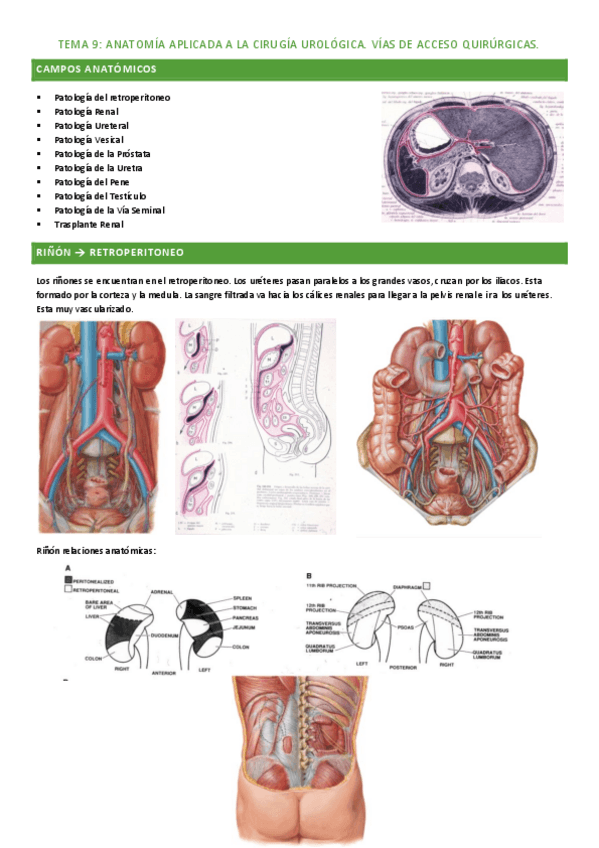 Miniatura del documento tema-9.pdf