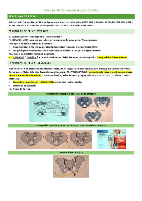 Miniatura del documento tema-26.pdf