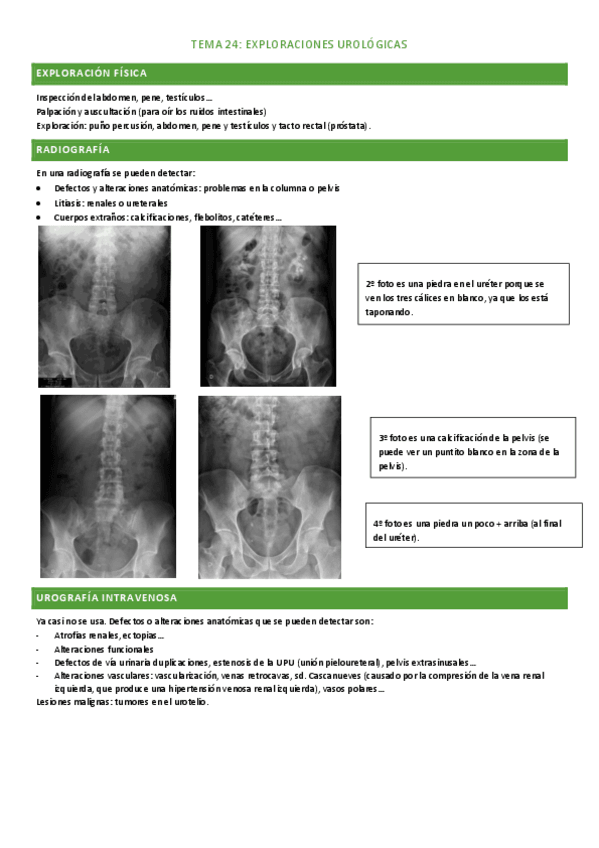 Miniatura del documento tema-24.pdf