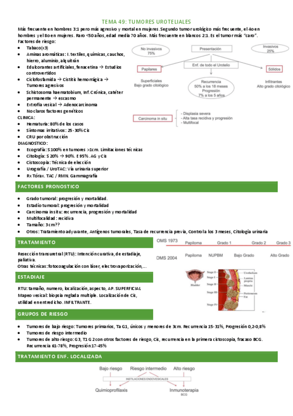 Miniatura del documento tema-49.pdf