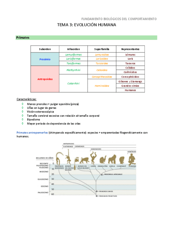 Miniatura del documento pdf-tema-3.pdf