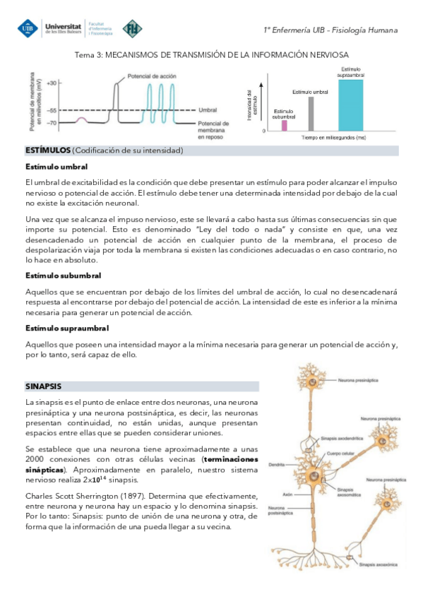 Miniatura del documento Tema-3-Fisiologia-Mecanismos-de-transmision-de-la-informacion-nerviosa.pdf