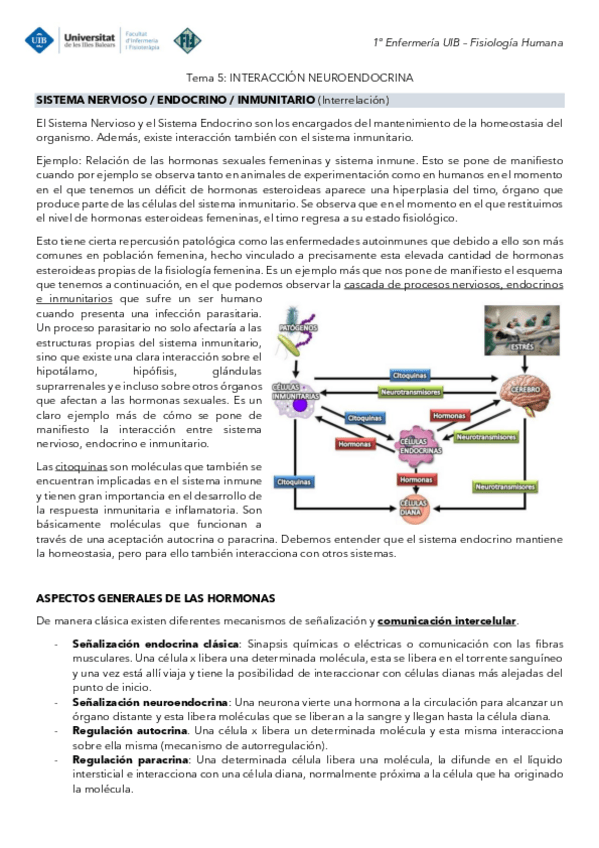 Miniatura del documento Tema-5-Fisiologia-Interaccion-neuroendocrina.pdf
