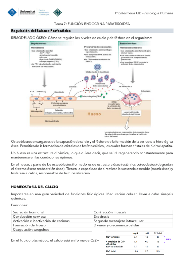 Miniatura del documento Tema-7-Fisiologia-Funcion-endocrina-paratiroidea.pdf
