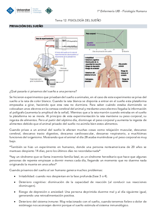 Miniatura del documento Tema-12-Fisiologia-Fisiologia-del-sueno.pdf
