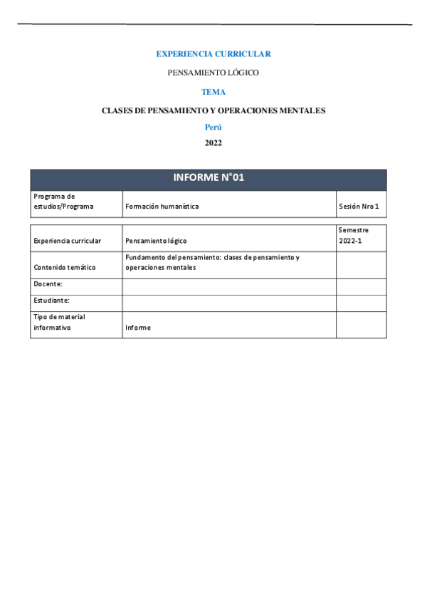 Miniatura del documento Informe-Sesion-N02.pdf