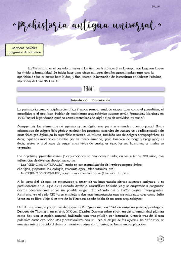 Miniatura del documento Apuntes_Prehistoria.pdf