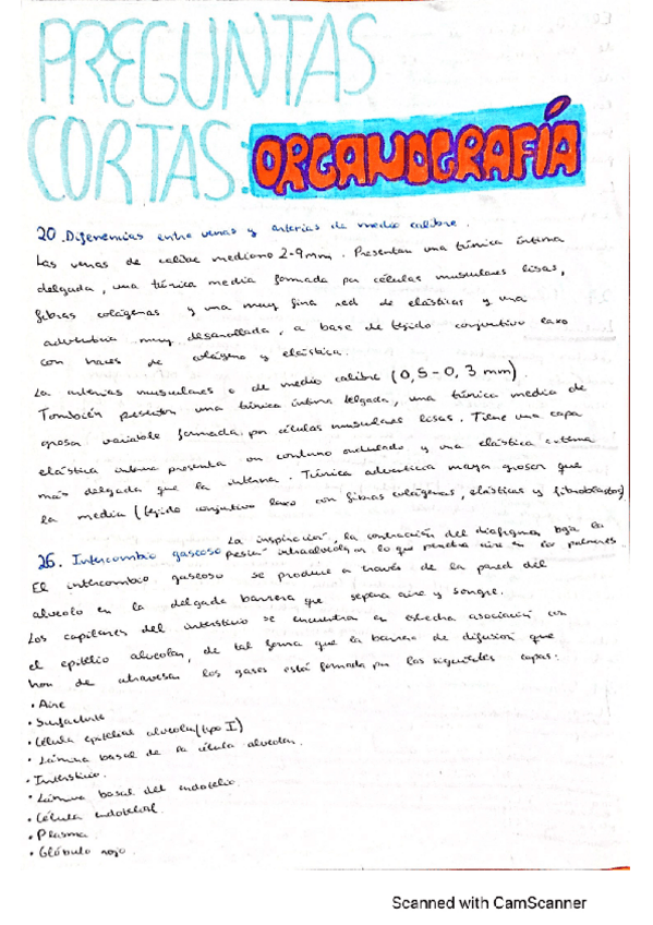 Miniatura del documento Preguntas-cortas-organografia.pdf