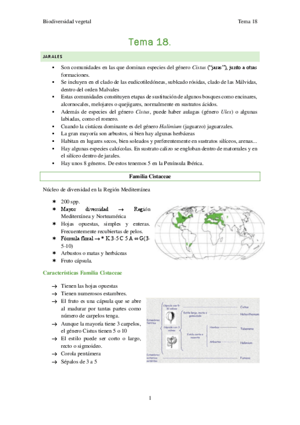 Miniatura del documento Biodiversidad-vegetal-Tema-18.pdf