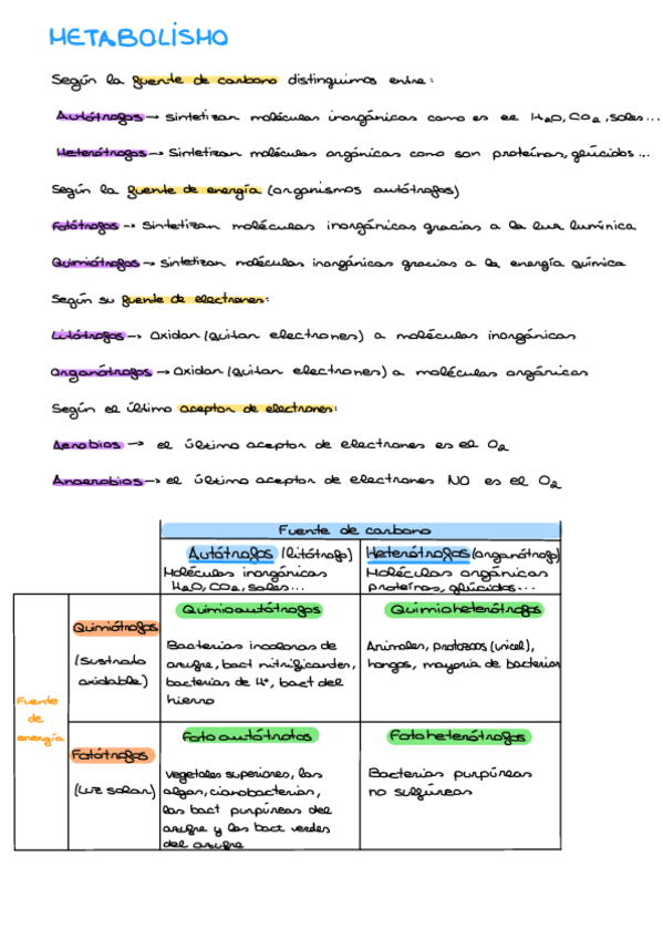 Miniatura del documento Metabolismo.pdf