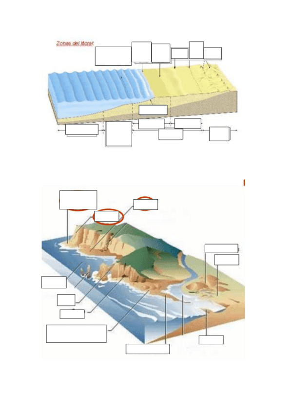 Miniatura del documento fotos-sistema-litoral-mudas.pdf