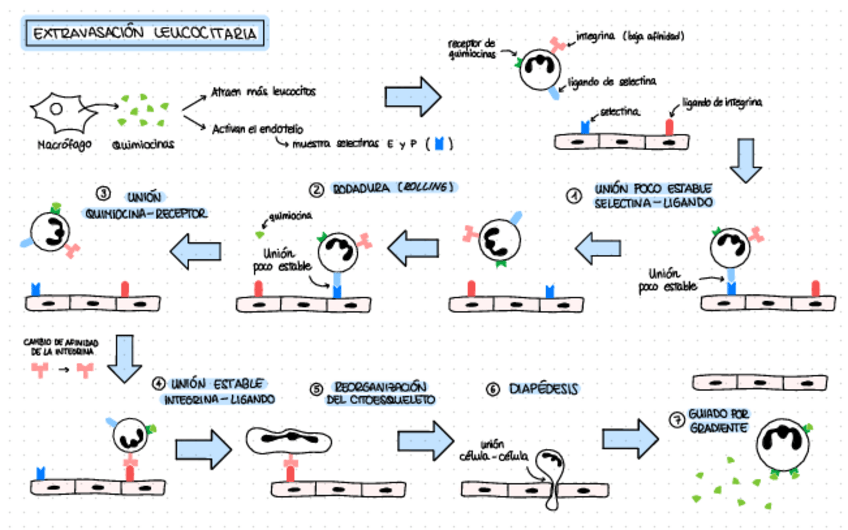 Miniatura del documento Procesos.pdf