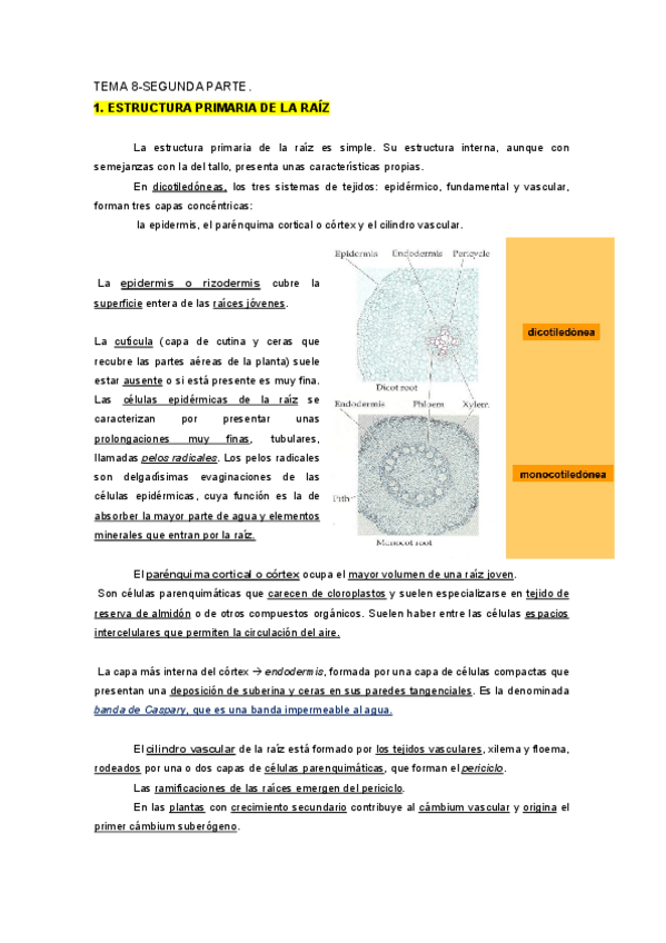 Miniatura del documento TEMAS-8-AL-15.pdf