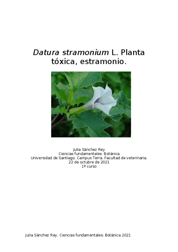 Miniatura del documento trabajo-de-botanica.docx