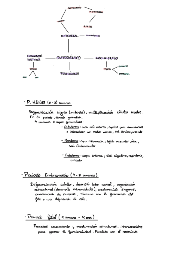 Miniatura del documento Introduccion-embriologia-humana.pdf