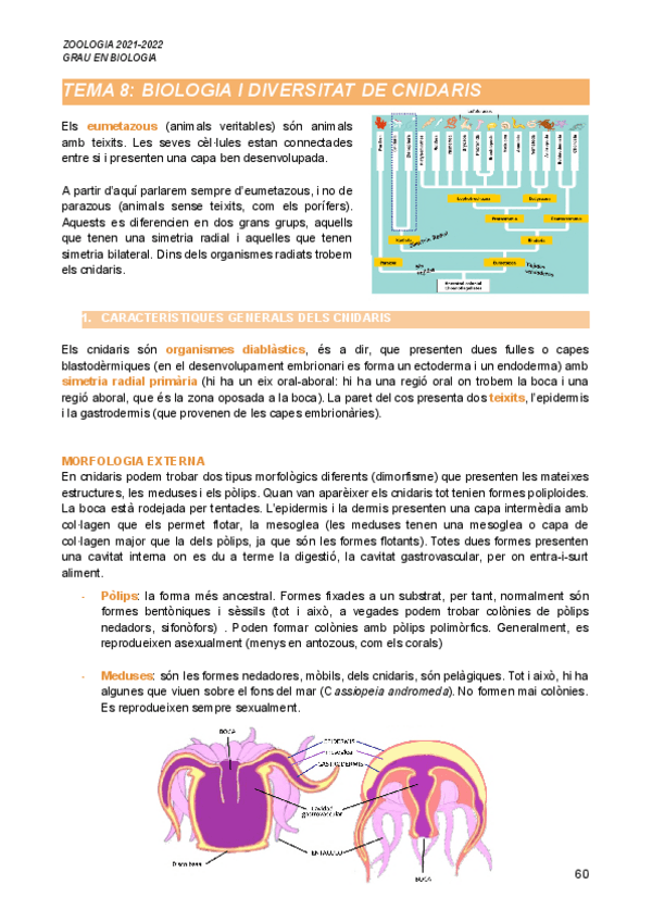 Miniatura del documento Segon-Parcial-Zoologia-21-22.pdf