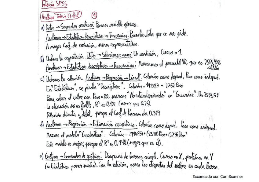Miniatura del documento Tutoria-SPSS.pdf