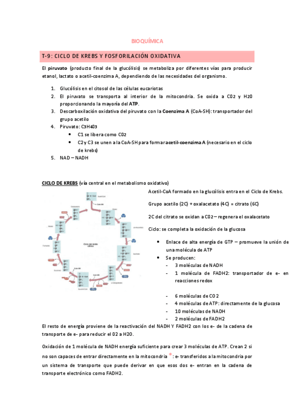 Miniatura del documento T9.pdf
