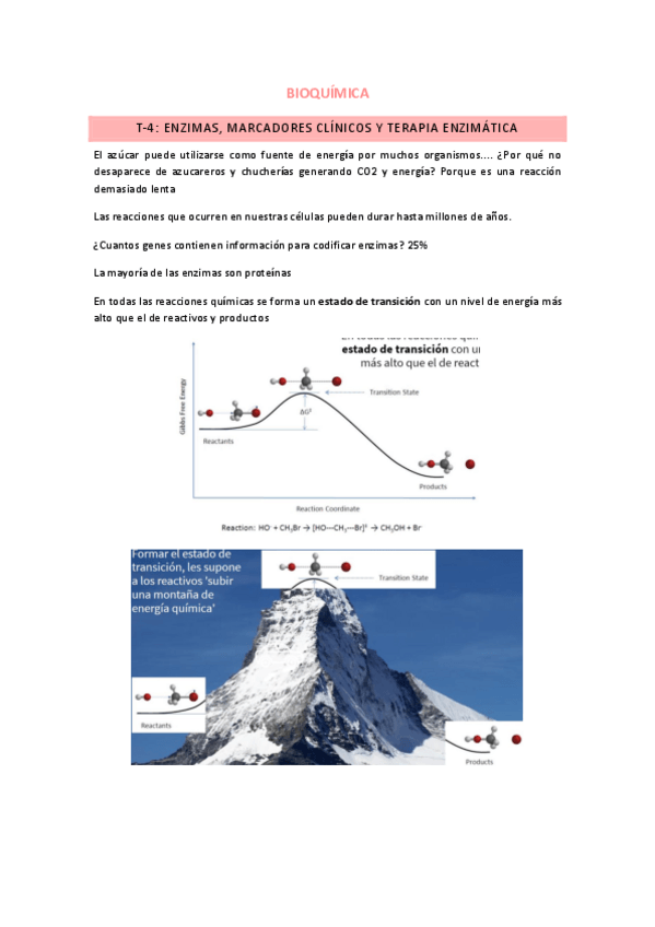 Miniatura del documento T4.pdf