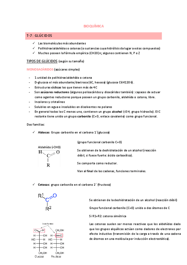 Miniatura del documento T-7.pdf
