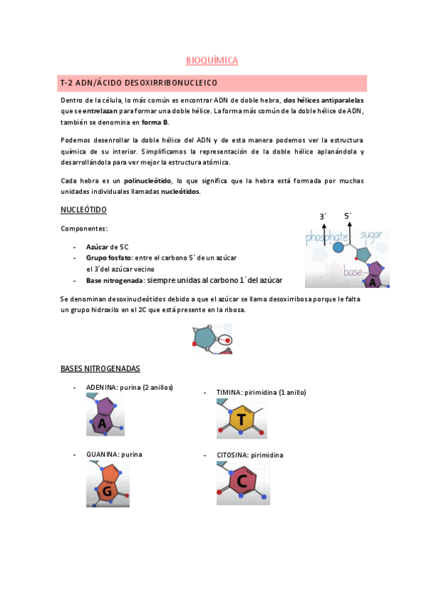 Miniatura del documento T2.pdf