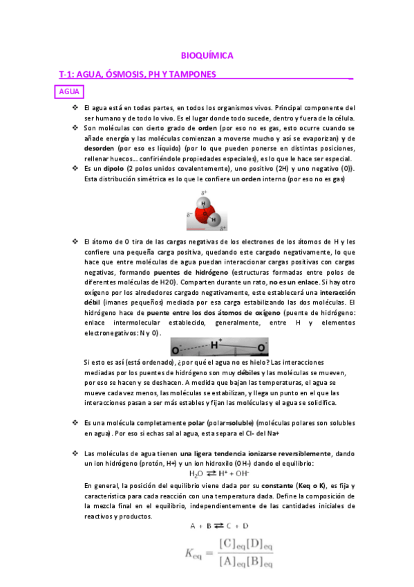 Miniatura del documento T1.pdf