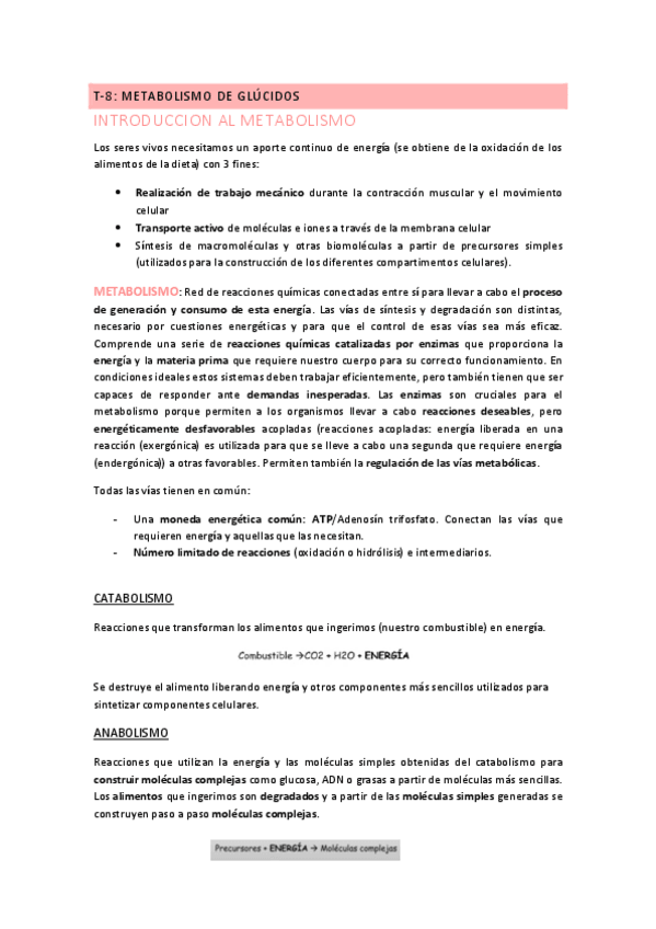 Miniatura del documento T8.pdf