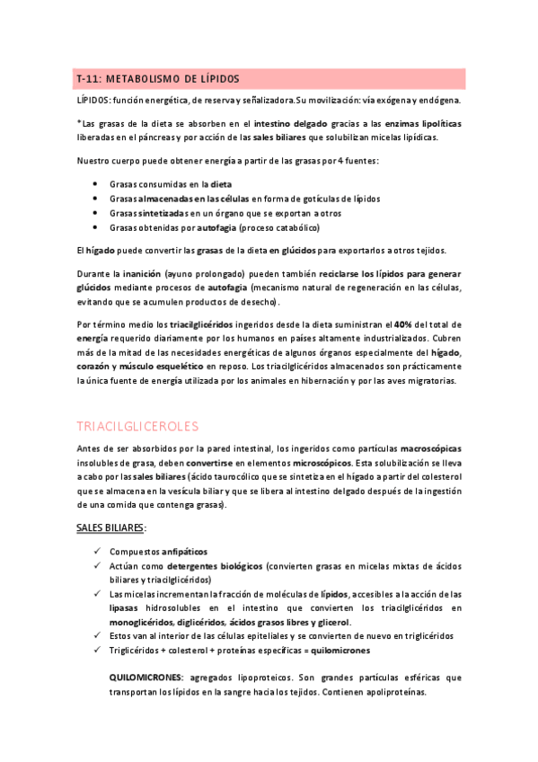 Miniatura del documento T11.pdf