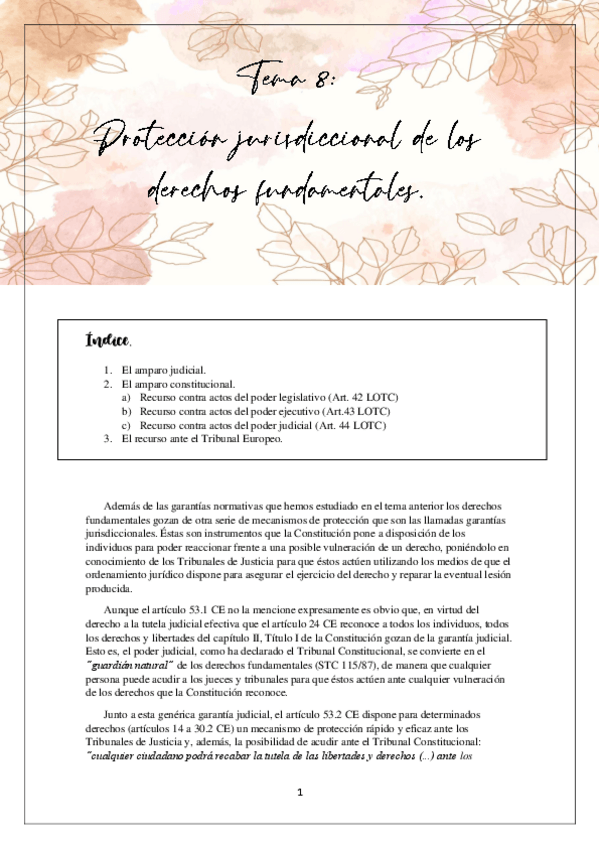 Miniatura del documento TEMA-8.pdf