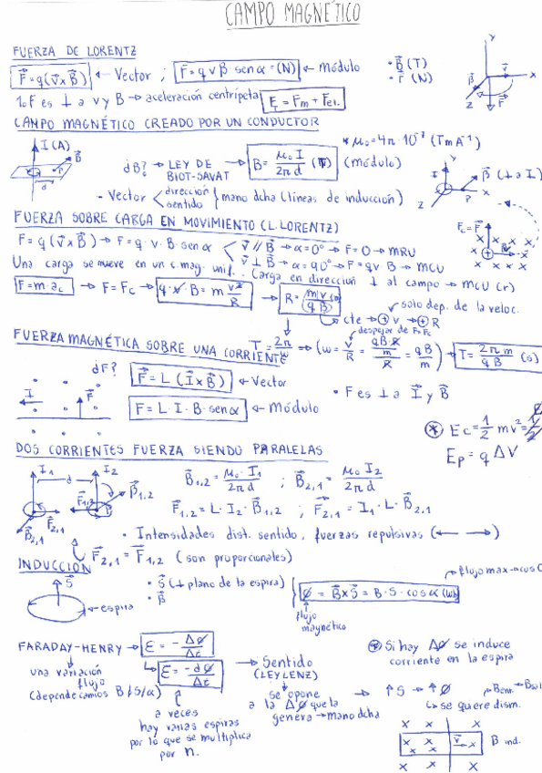 Miniatura del documento CAMPO-MAGNETICO.pdf