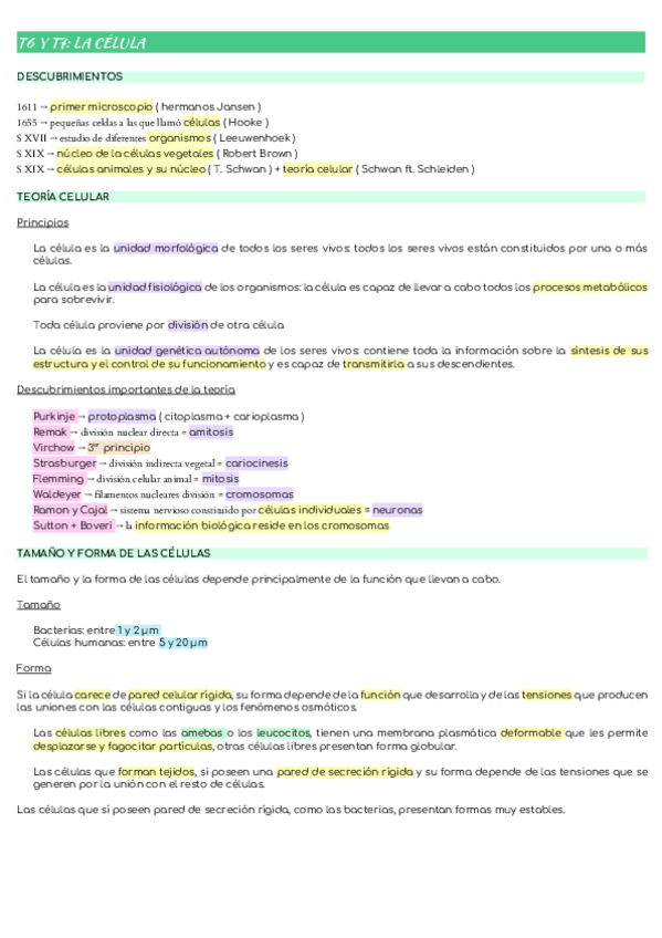 Miniatura del documento T6-Y-T7-LA-CELULA.pdf
