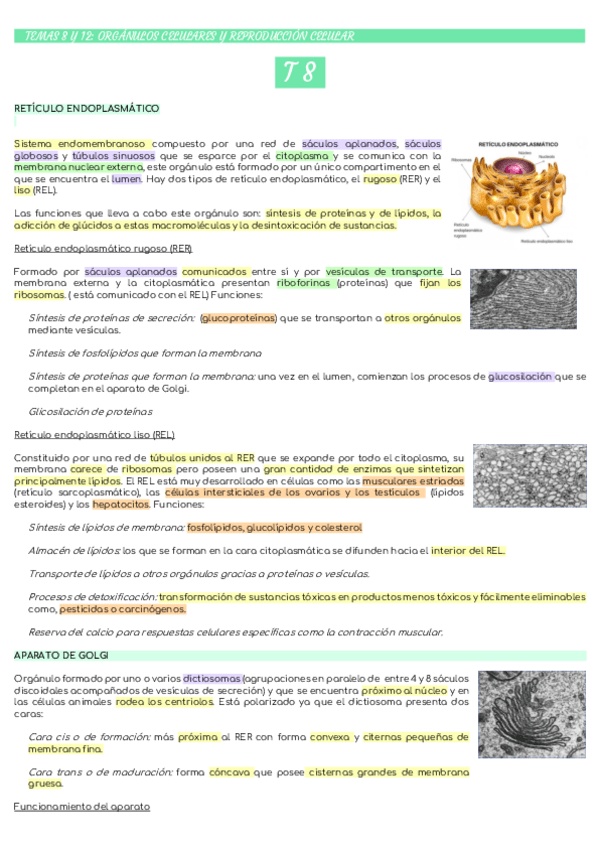 Miniatura del documento TEMAS-8-Y-12-ORGANULOS-CELULARES-Y-REPRODUCCION-CELULAR.pdf
