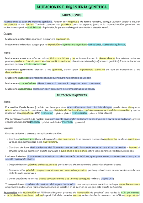 Miniatura del documento T-15-MUTACIONES-E-INGENIERIA-GENETICA.pdf