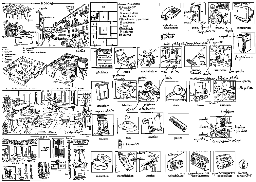 Miniatura del documento domus.pdf