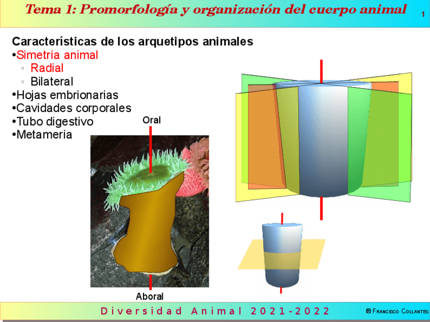Miniatura del documento Tema01.pdf