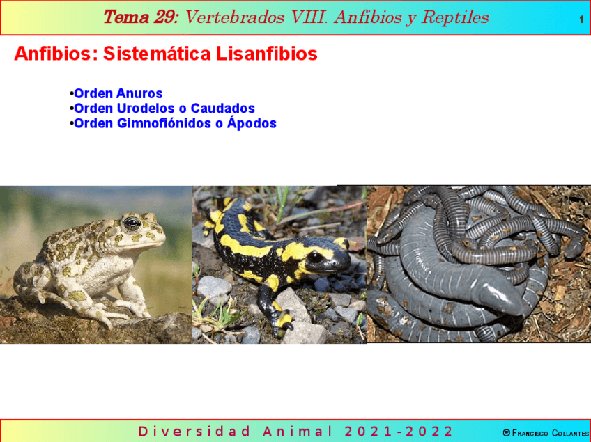 Miniatura del documento Tema29.pdf