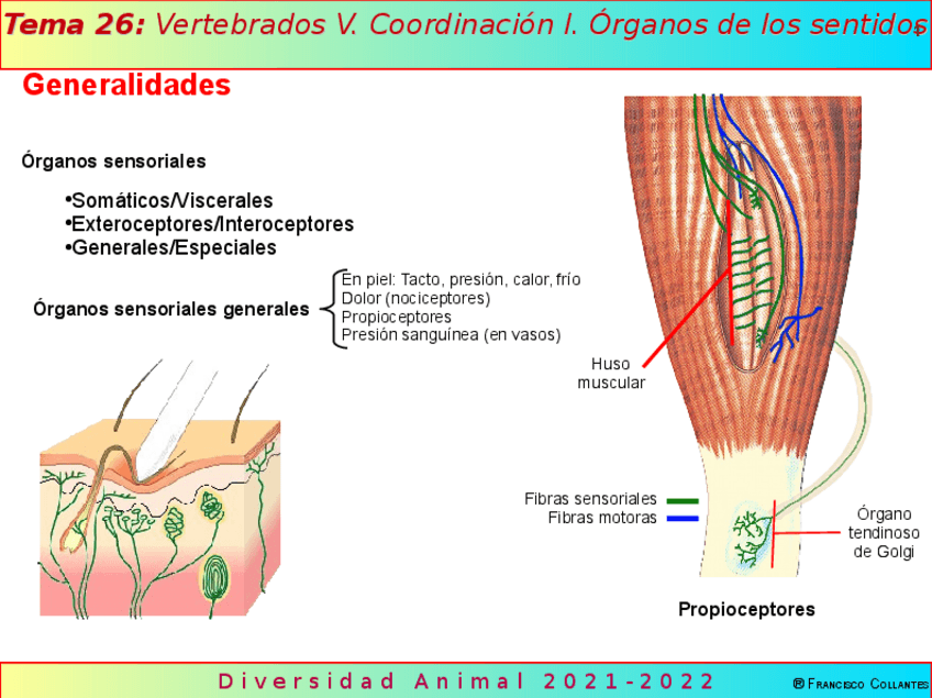 Miniatura del documento Tema26.pdf