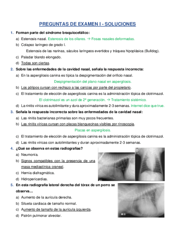 Miniatura del documento SOLUCIONES-PREGUNTAS-DE-EXAMEN-I-.pdf