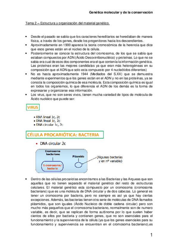 Miniatura del documento Tema-2-Estructura-y-organizacion-del-material-genetico.pdf