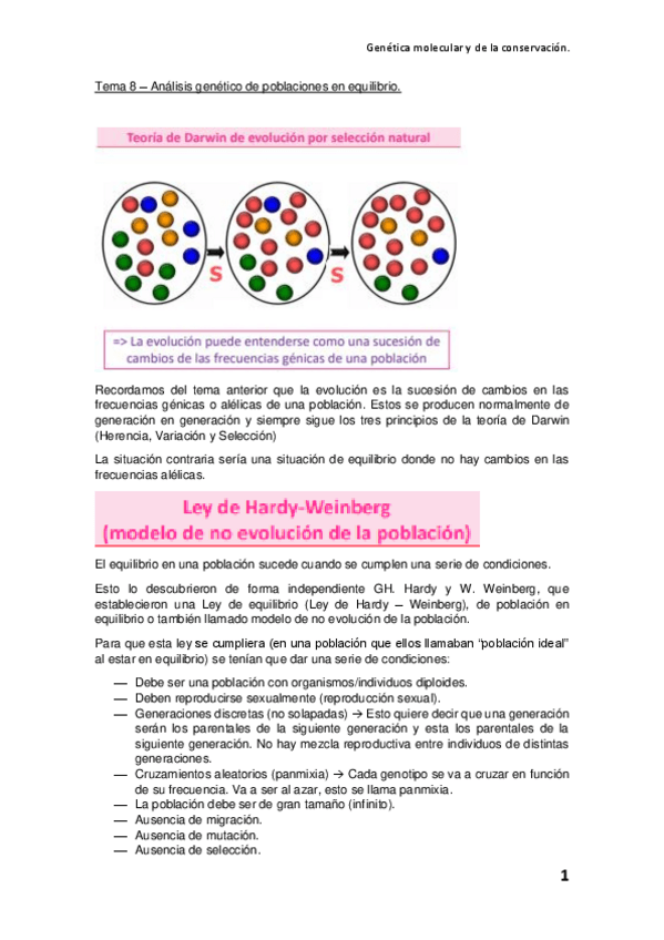 Miniatura del documento Tema-8-Analisis-genetico-de-poblaciones-en-equilibrio.pdf
