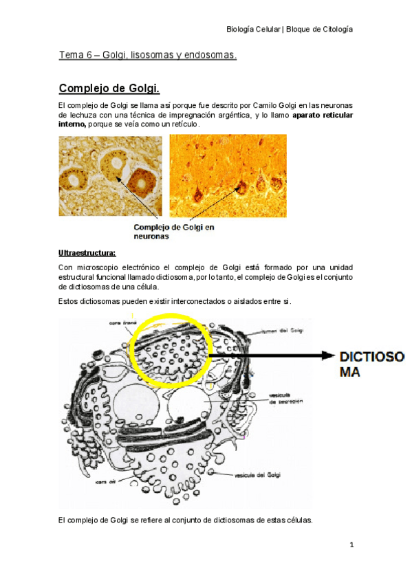 Miniatura del documento Tema-6-apuntes.pdf
