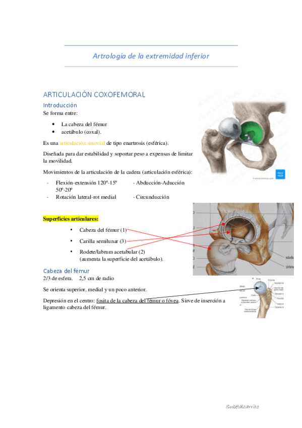 Miniatura del documento Miembro-inferior-completo.pdf